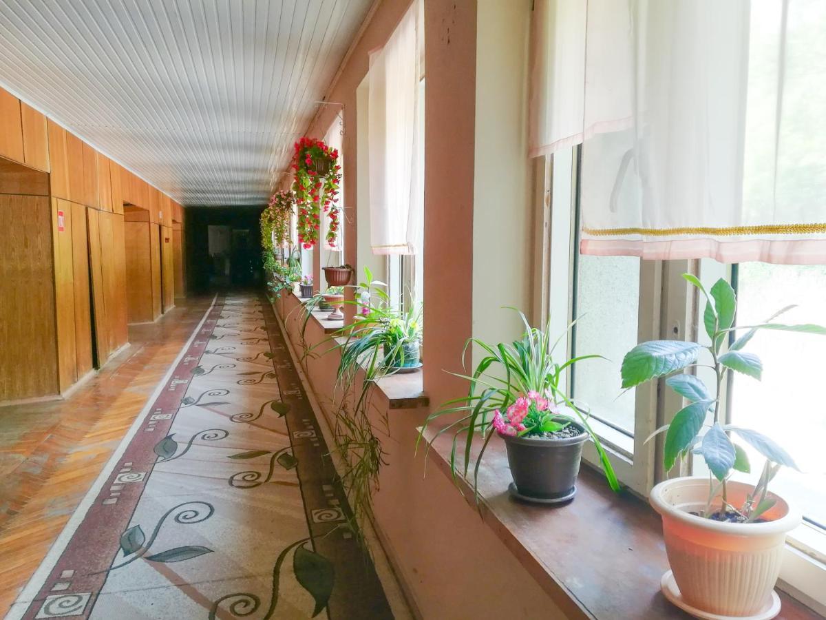 Гостиница Ива Gagra Exterior photo